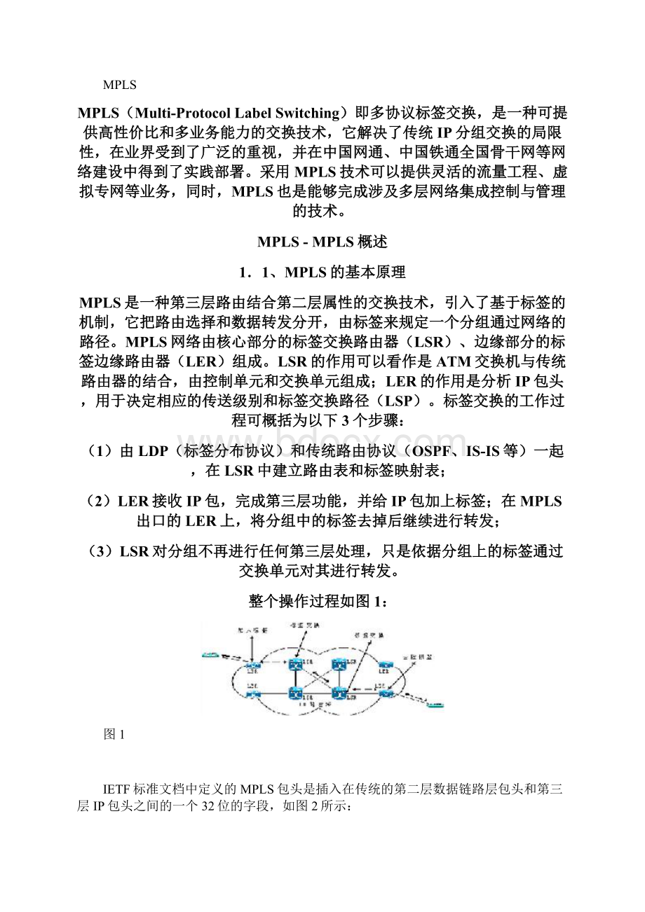 MPLS多协议标签交换.docx_第2页