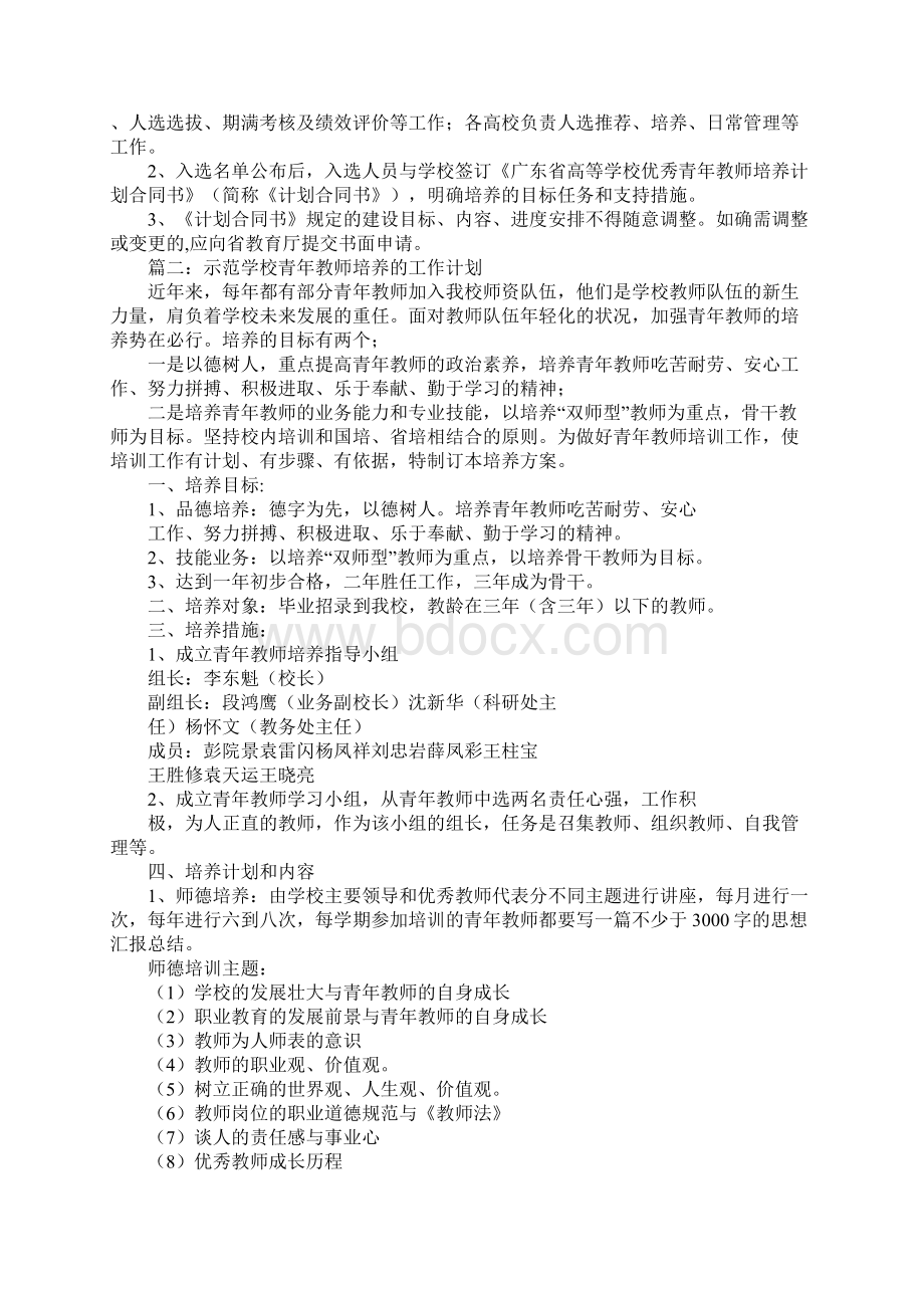 示范学校青年教师培养的工作计划.docx_第3页