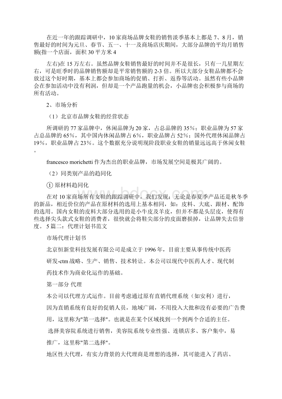 总代理计划书.docx_第3页