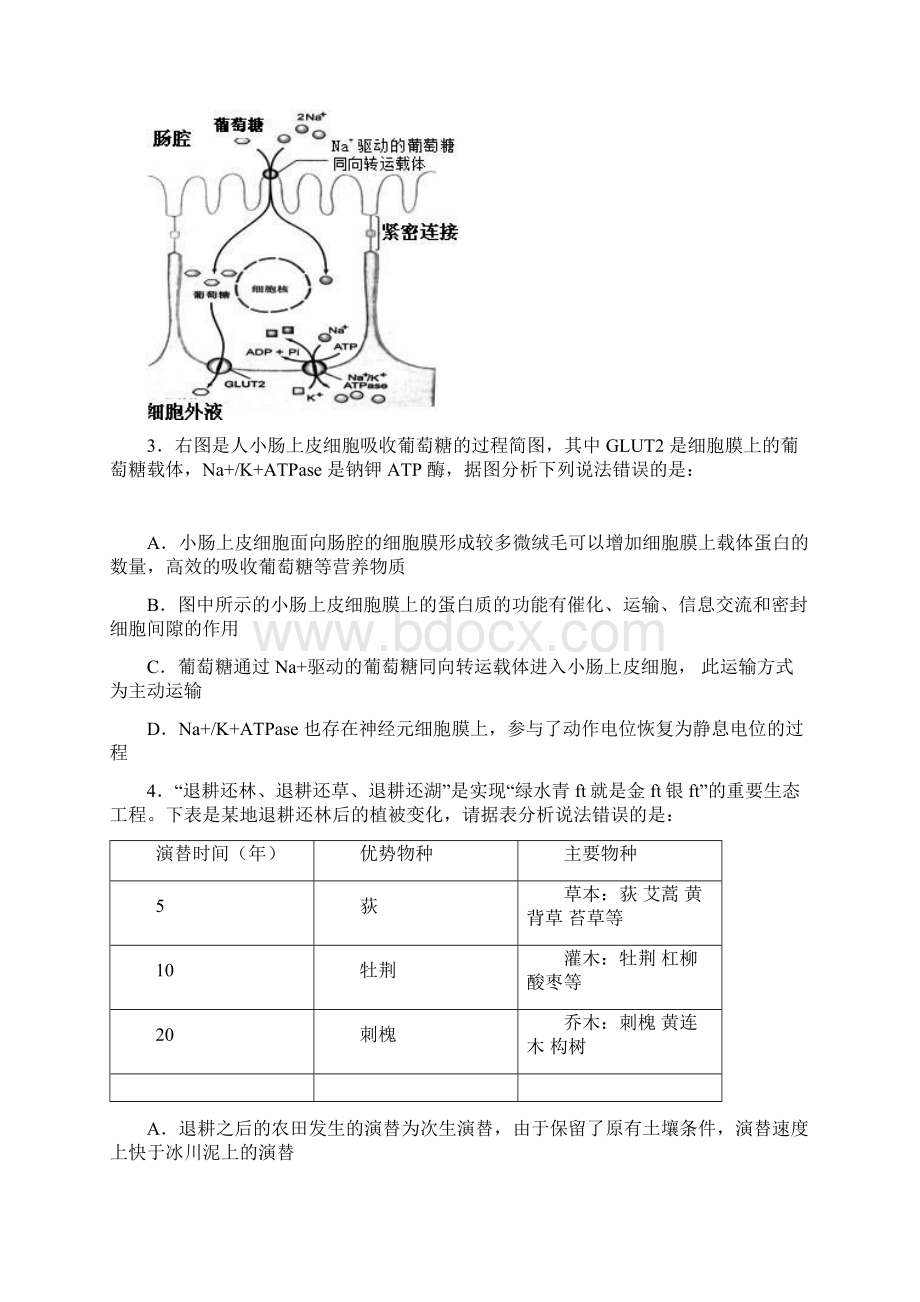 中学生标准学术能力诊断性测试届高三上学期测试理科综合pdf版含答案.docx_第2页