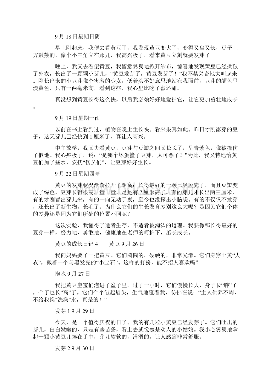 黄豆的成长日记Word格式文档下载.docx_第3页