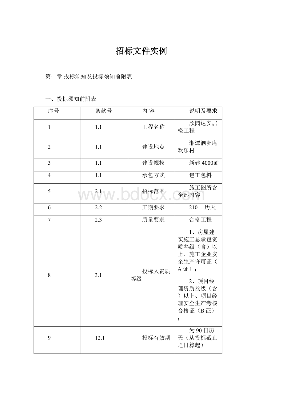 招标文件实例文档格式.docx