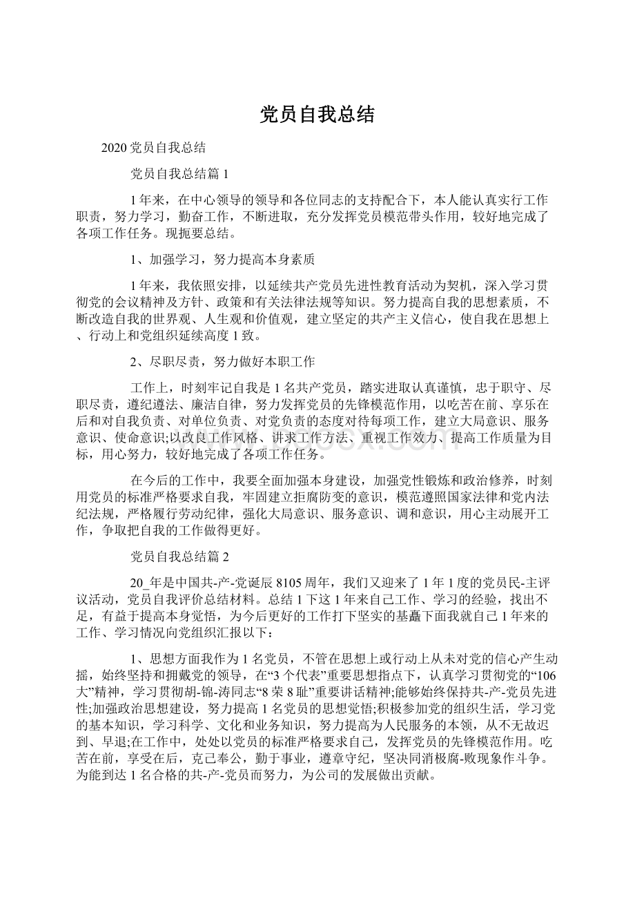 党员自我总结Word格式文档下载.docx