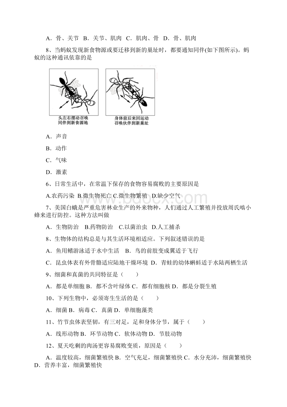 专题05 生物圈中的其他生物第02期中考生物试题分项版解析汇编原卷版.docx_第2页