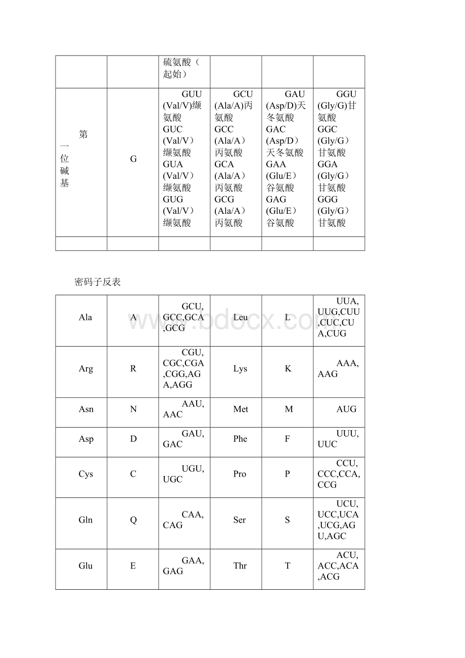 遗传密码表以及氨基酸详表.docx_第2页