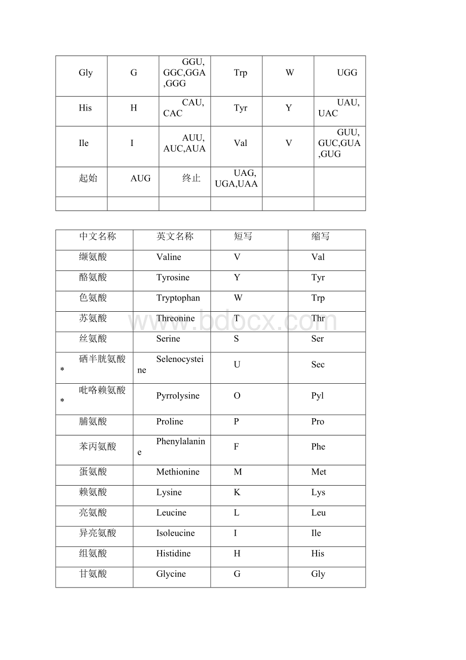 遗传密码表以及氨基酸详表.docx_第3页