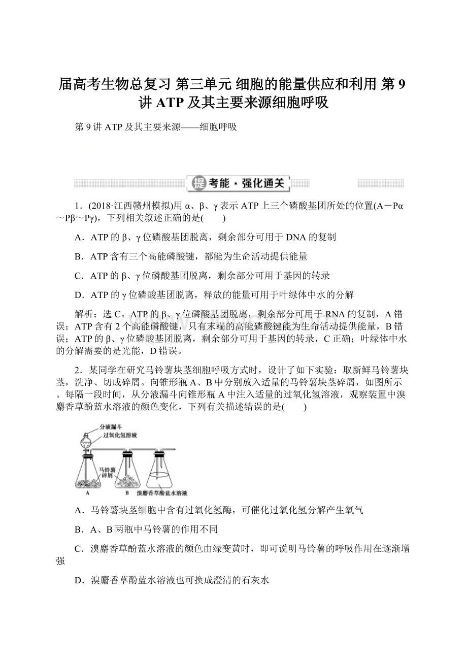 届高考生物总复习 第三单元 细胞的能量供应和利用 第9讲 ATP及其主要来源细胞呼吸文档格式.docx