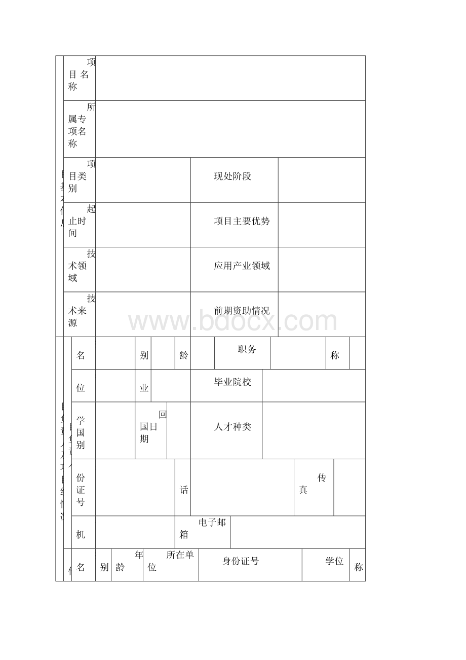 创新企业项目申报书.docx_第3页