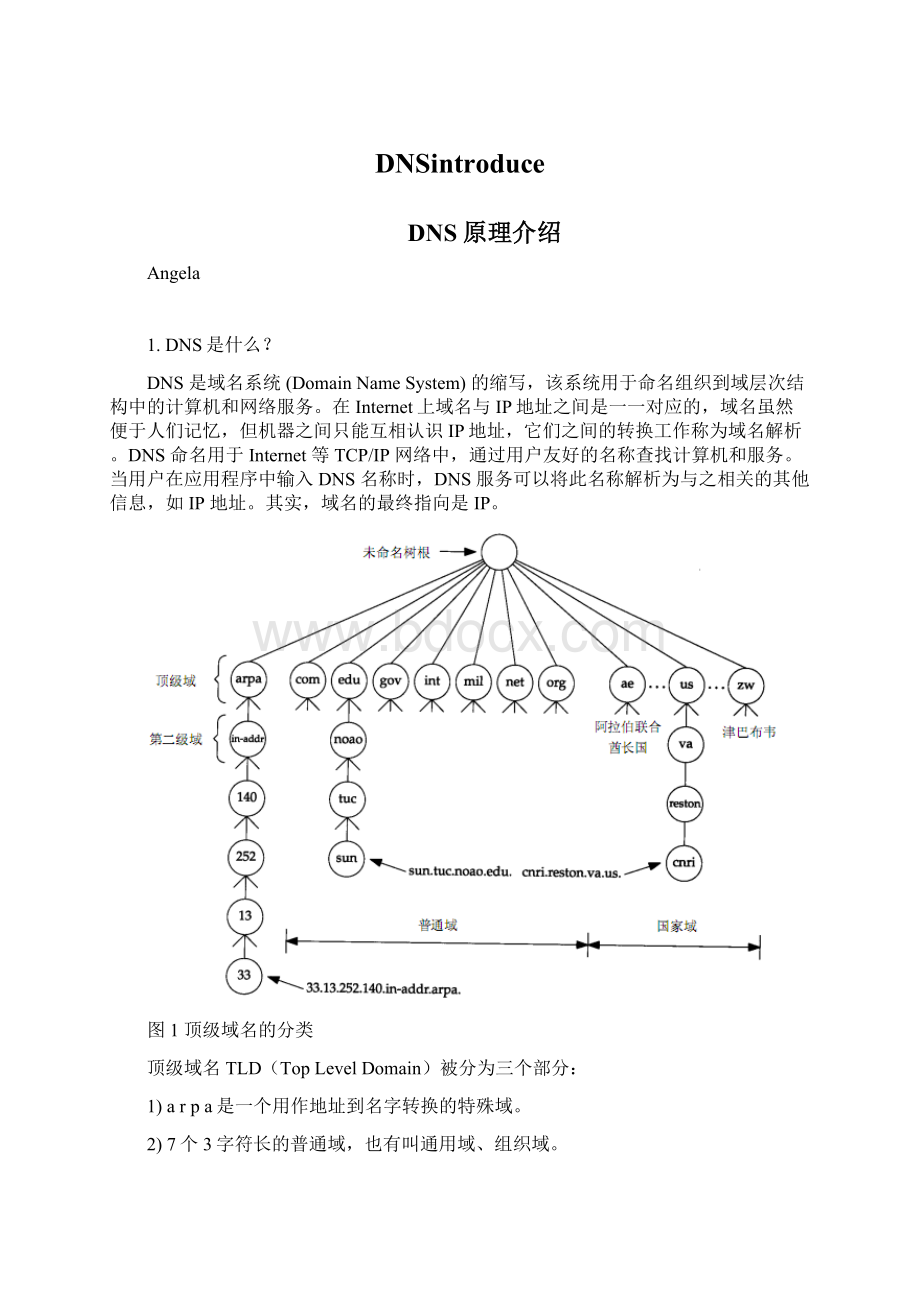 DNSintroduce.docx_第1页