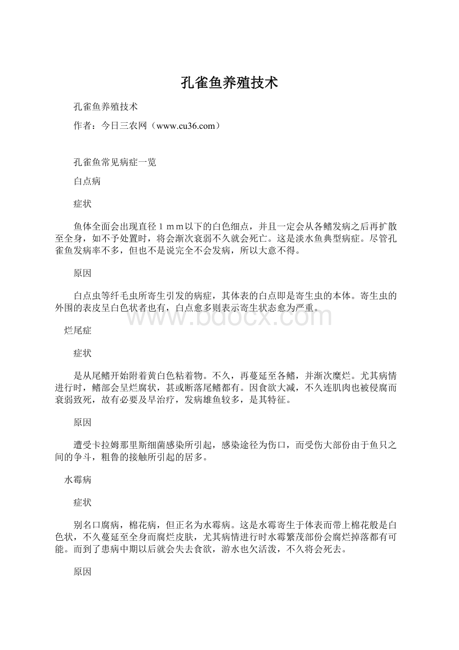 孔雀鱼养殖技术Word文档格式.docx_第1页