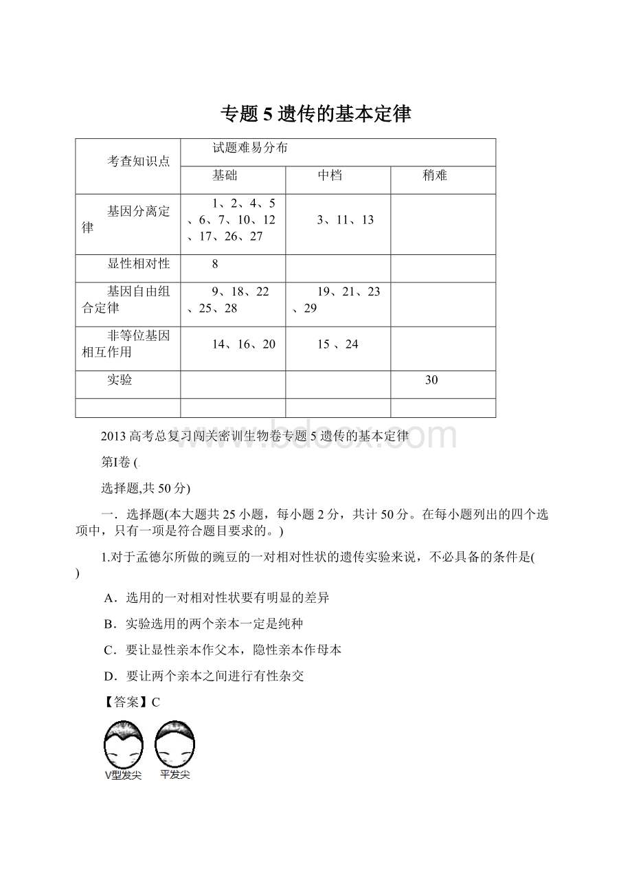 专题5 遗传的基本定律Word文件下载.docx_第1页