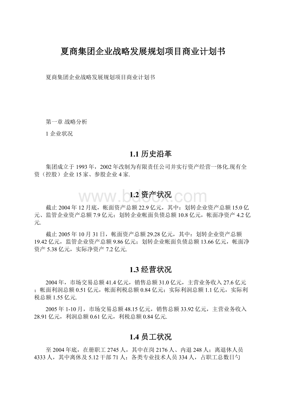 夏商集团企业战略发展规划项目商业计划书Word格式.docx