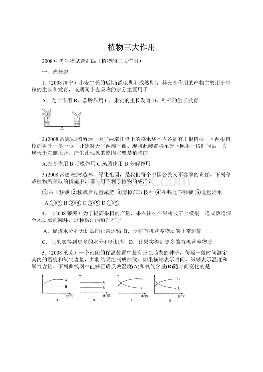 植物三大作用Word文档下载推荐.docx