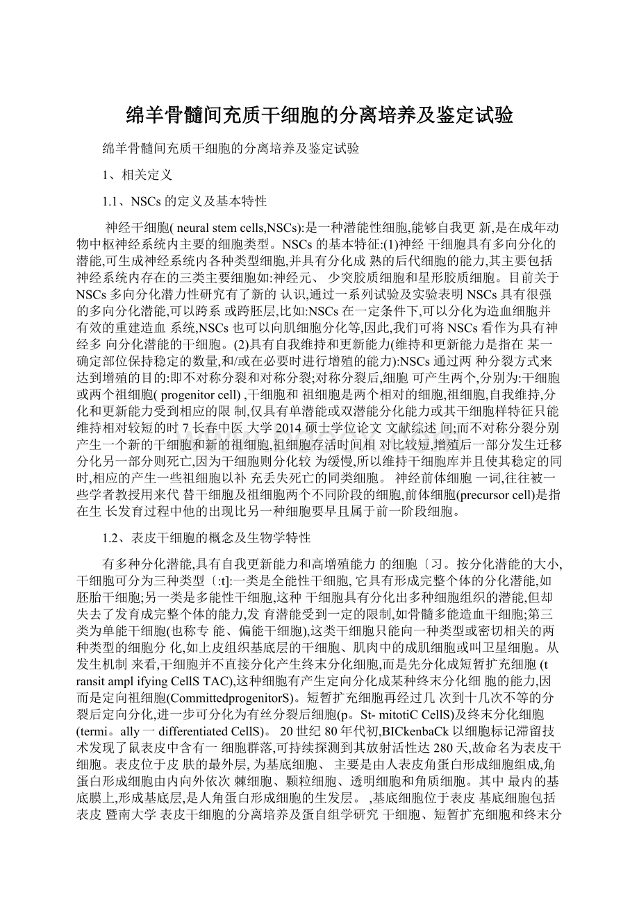 绵羊骨髓间充质干细胞的分离培养及鉴定试验.docx_第1页