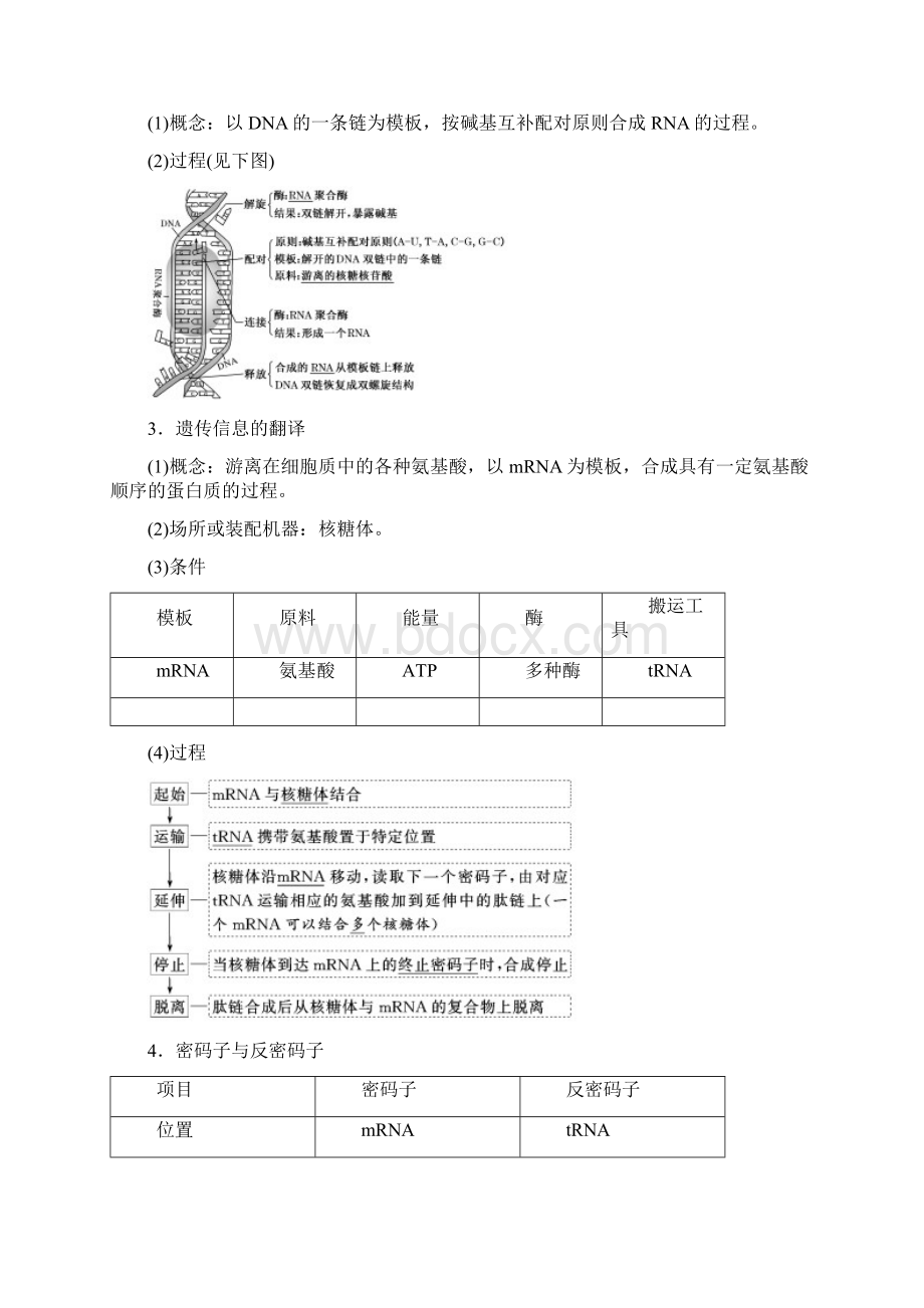 新课改专用版高考一轮复习第六单元第三讲基因的表达讲义生物 解析版Word格式.docx_第2页