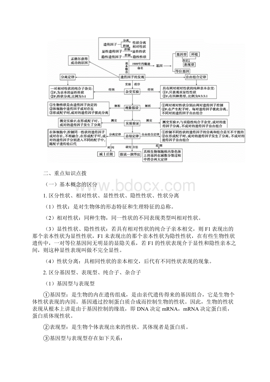 高中生物人教版必修2孟德尔的杂交实验.docx_第2页