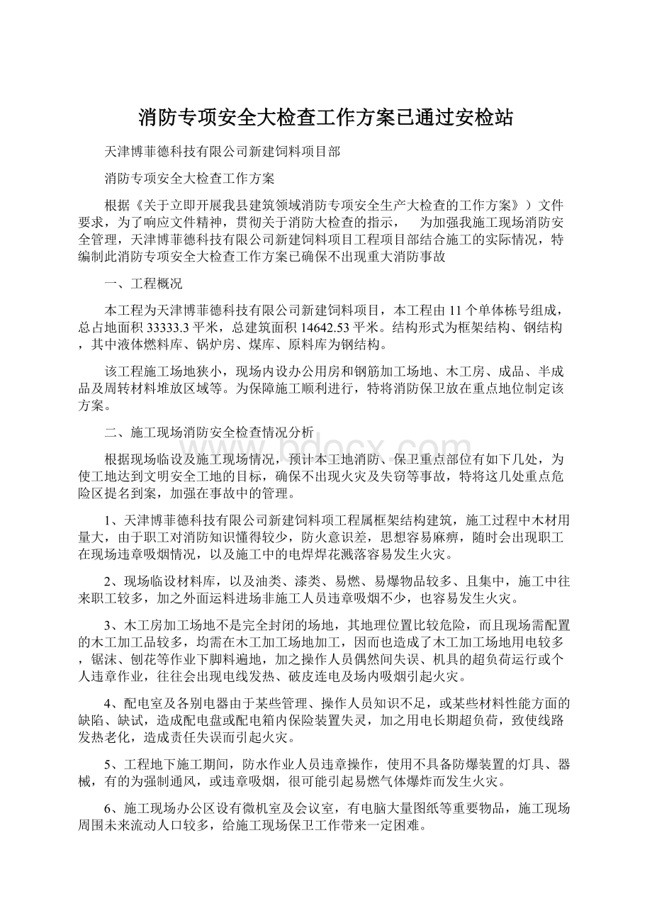 消防专项安全大检查工作方案已通过安检站Word格式文档下载.docx