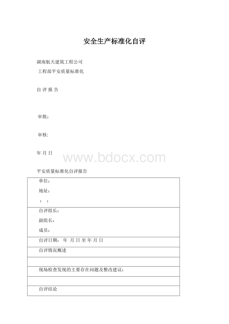 安全生产标准化自评文档格式.docx