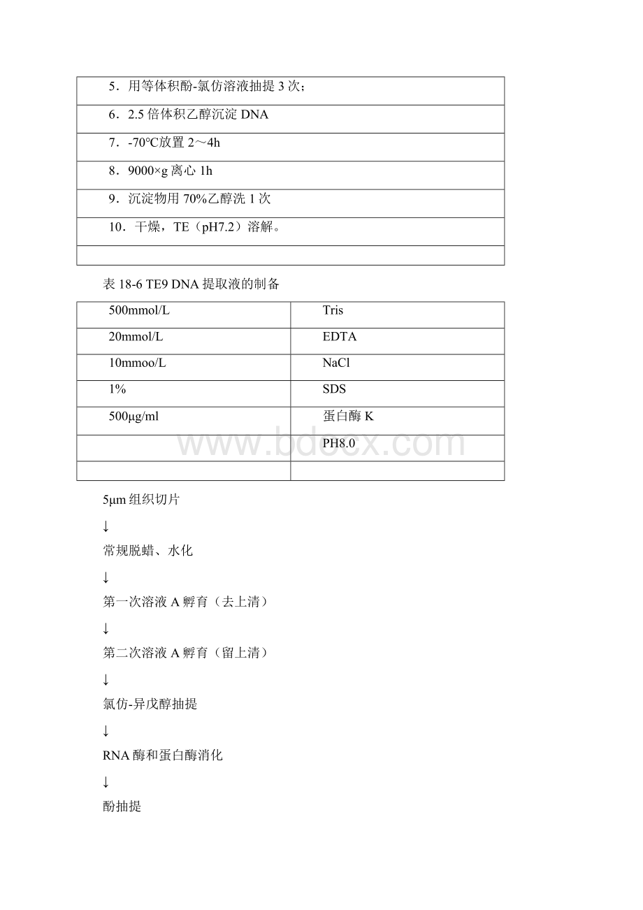 石蜡包埋组织的DNA提取及其应用.docx_第2页