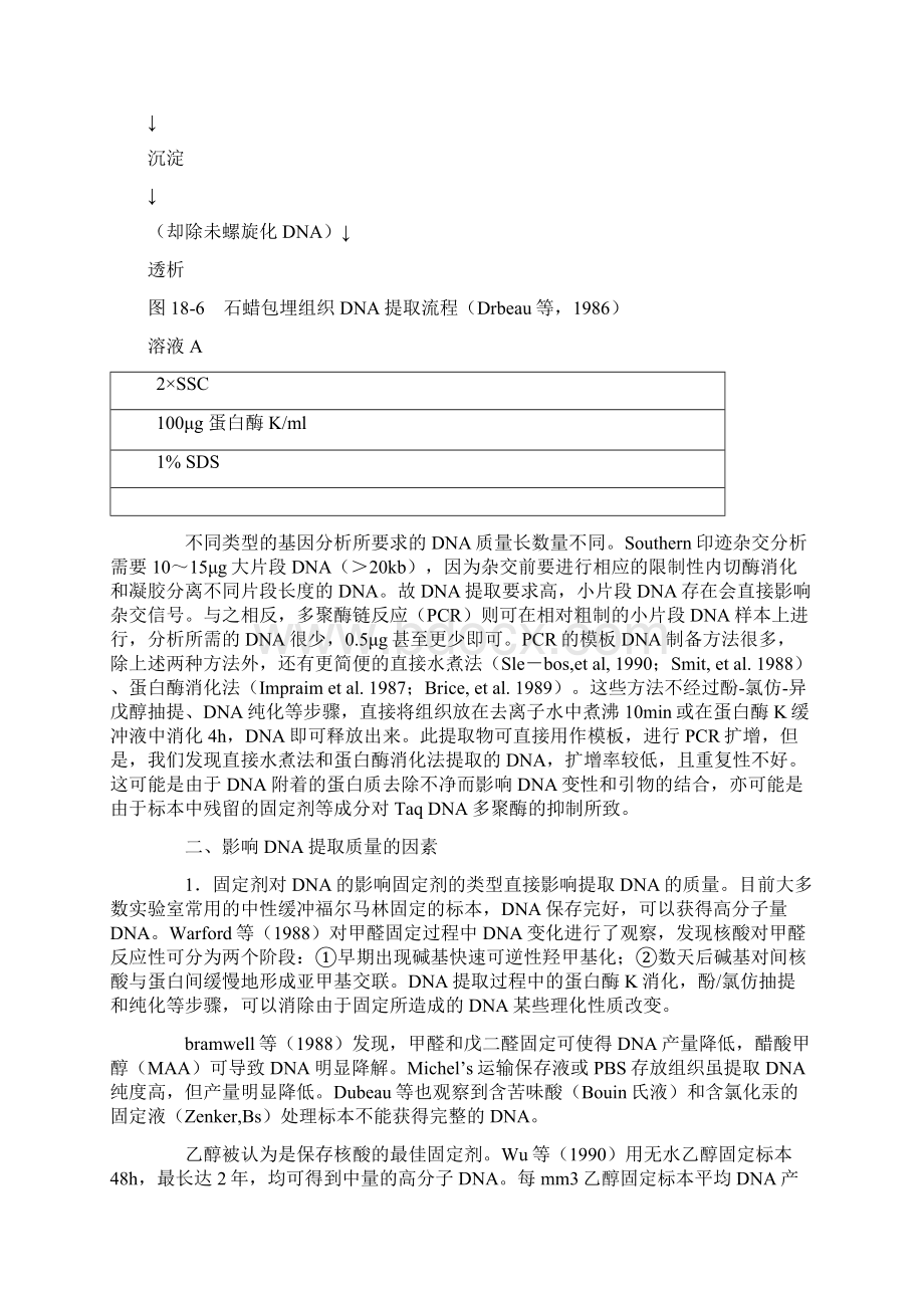 石蜡包埋组织的DNA提取及其应用.docx_第3页