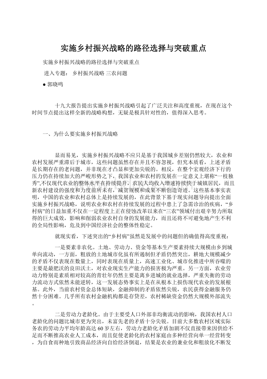 实施乡村振兴战略的路径选择与突破重点Word格式文档下载.docx_第1页