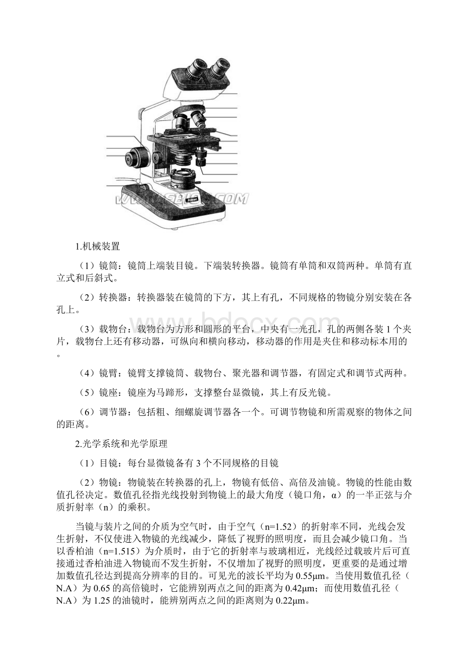 环境微生物基础实验讲义汇总.docx_第2页