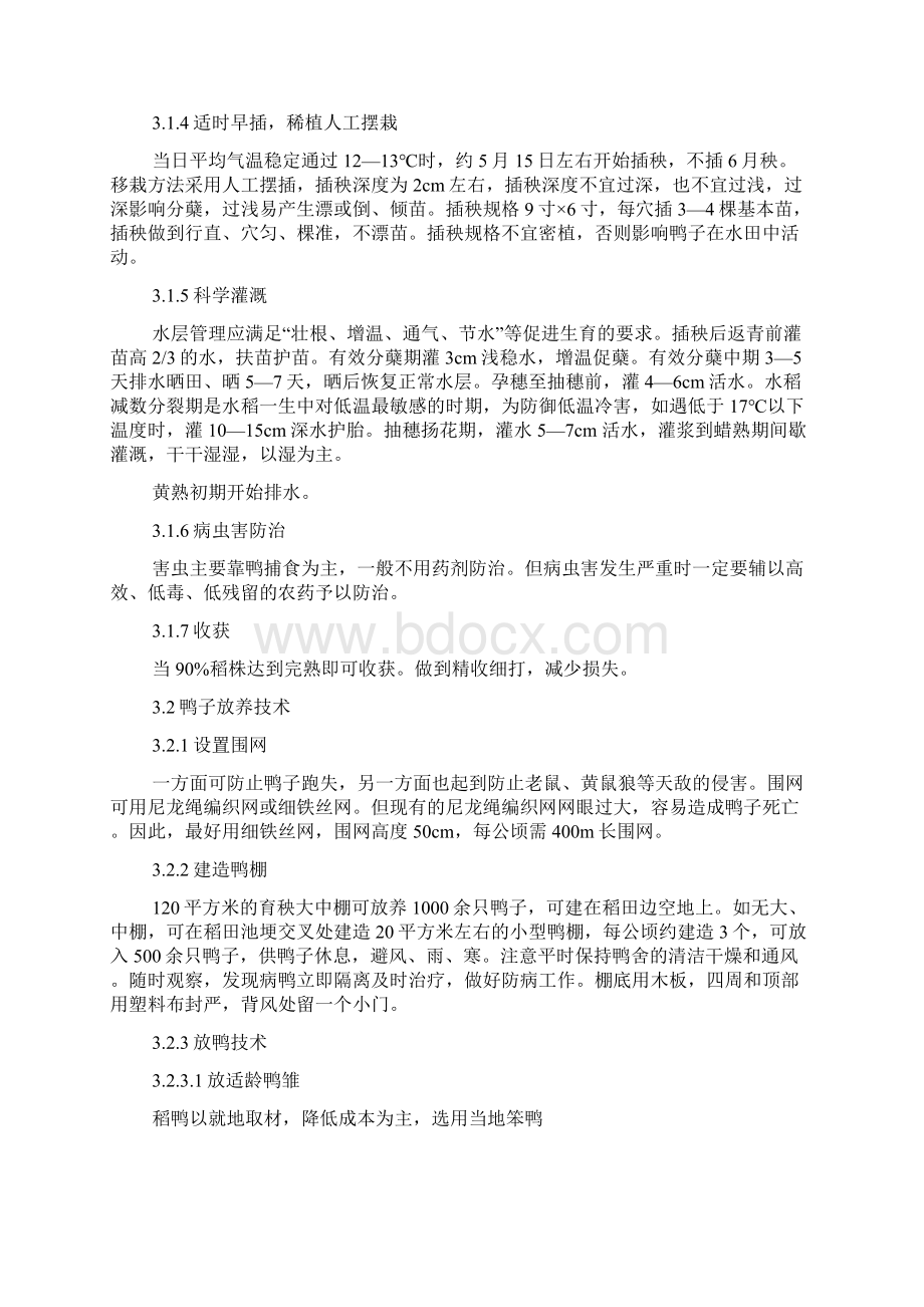 养鸭工作总结文档格式.docx_第3页