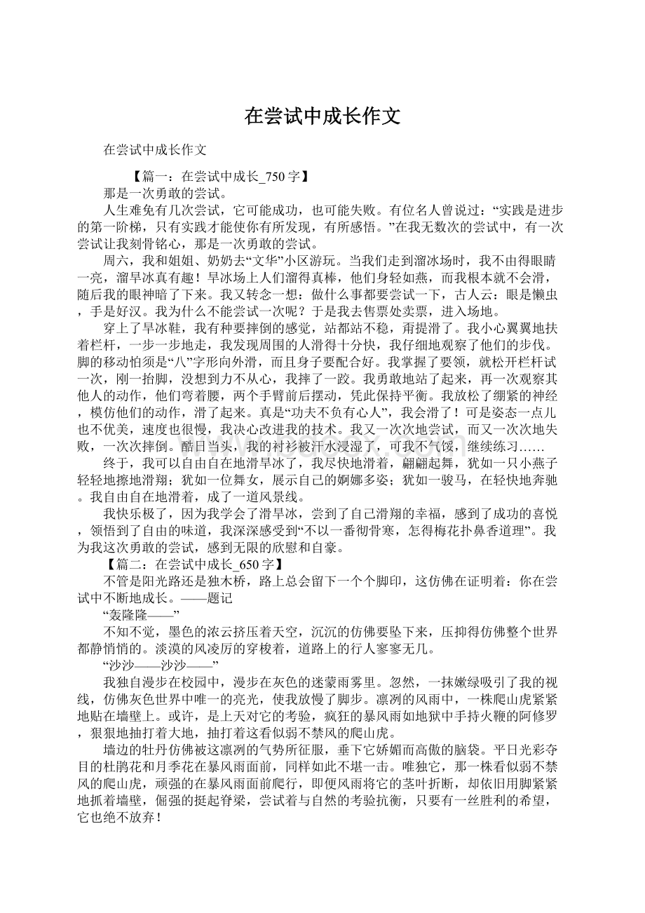 在尝试中成长作文文档格式.docx_第1页