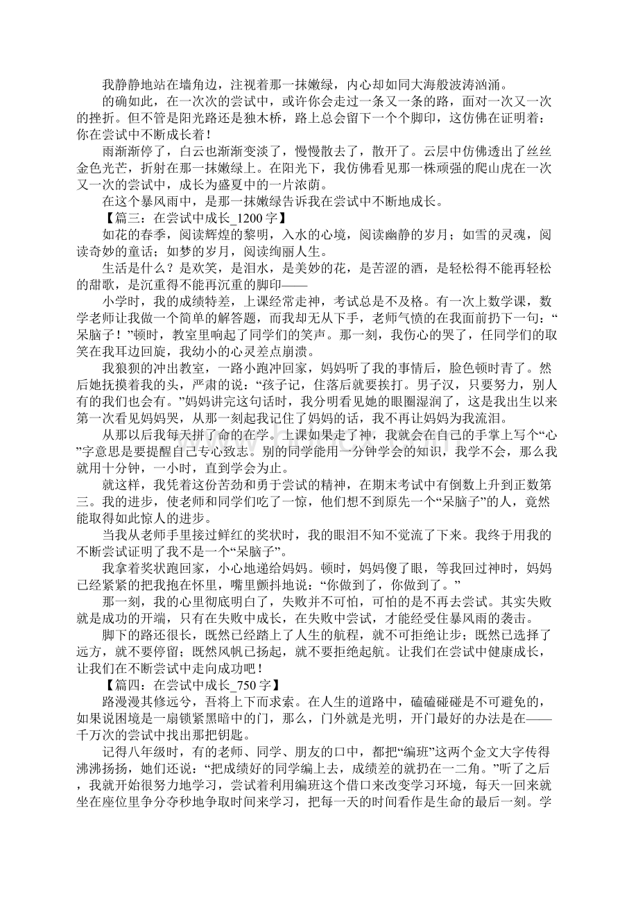 在尝试中成长作文文档格式.docx_第2页