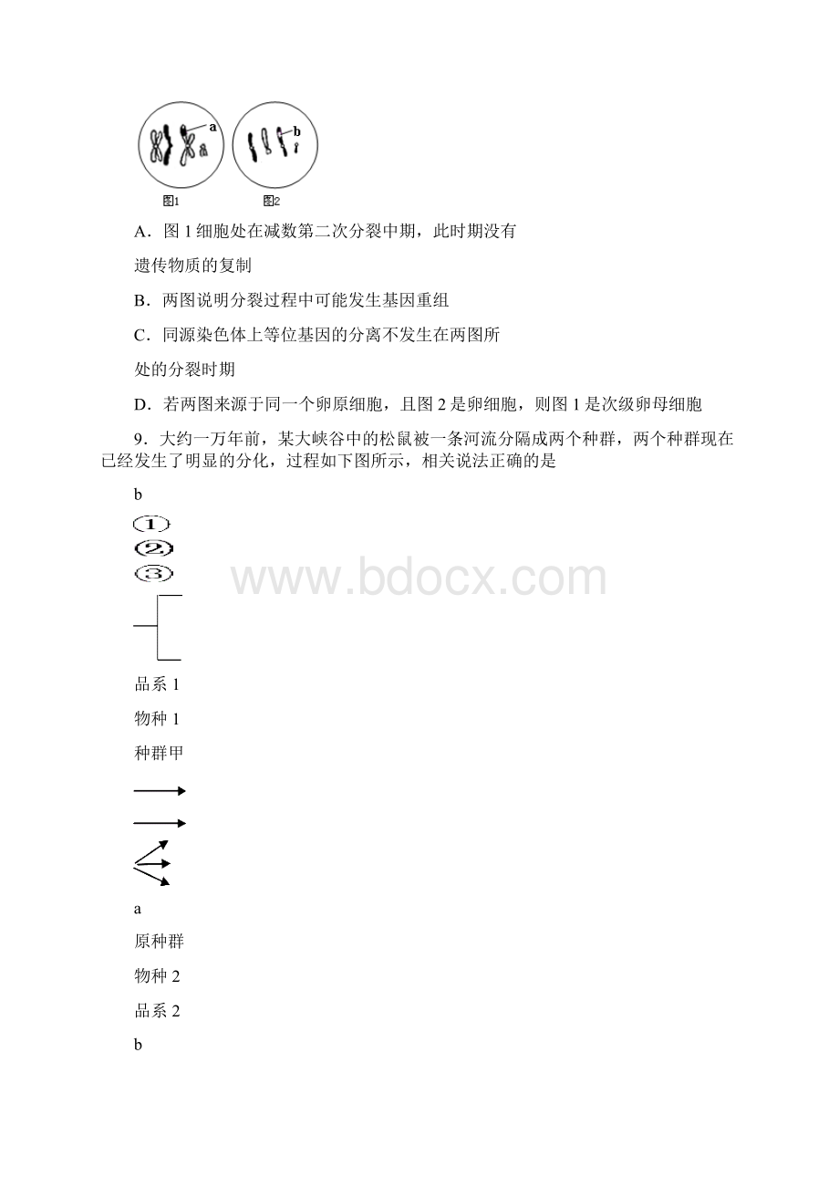 海南省高考压轴卷生物Word下载.docx_第3页