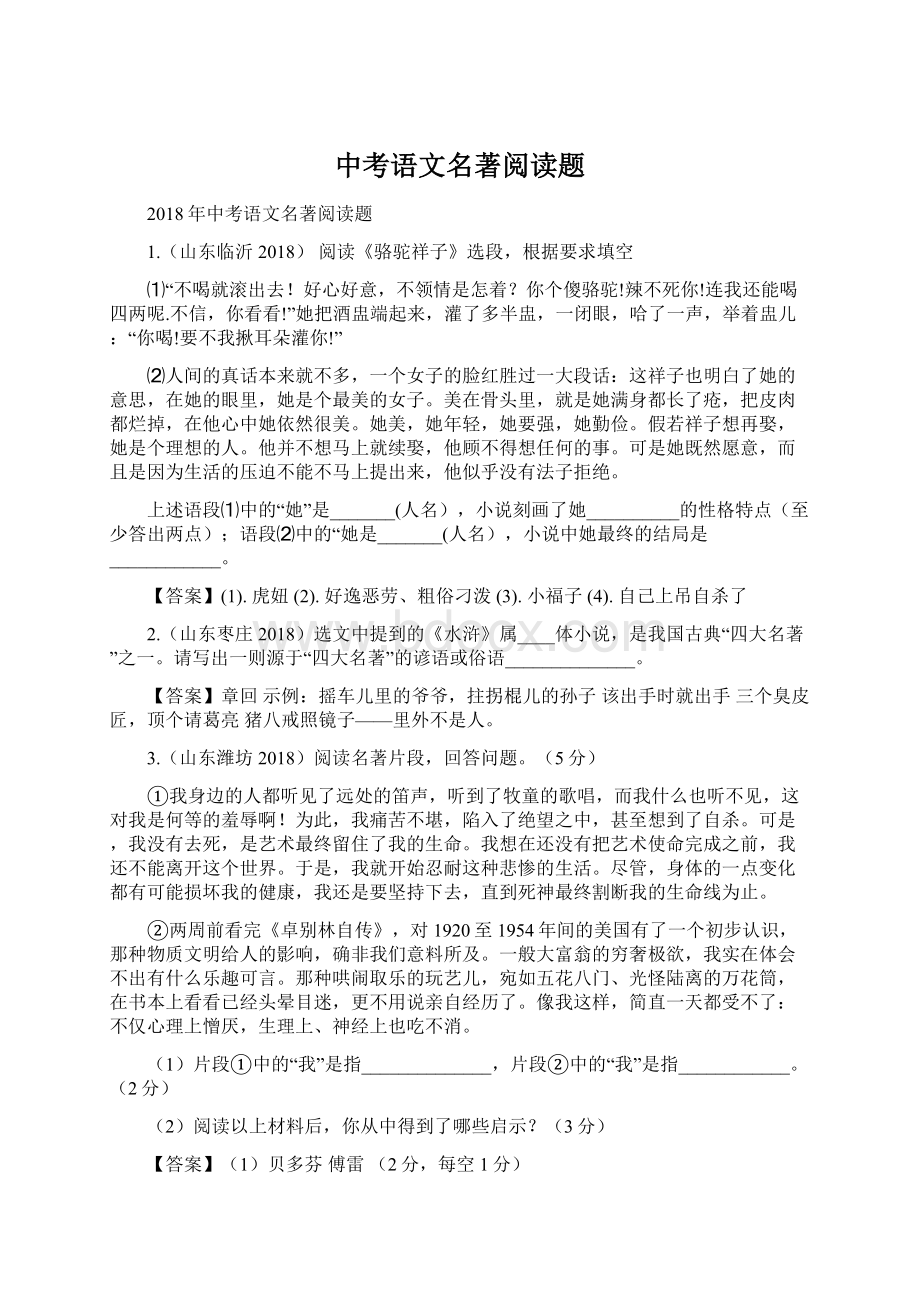 中考语文名著阅读题文档格式.docx