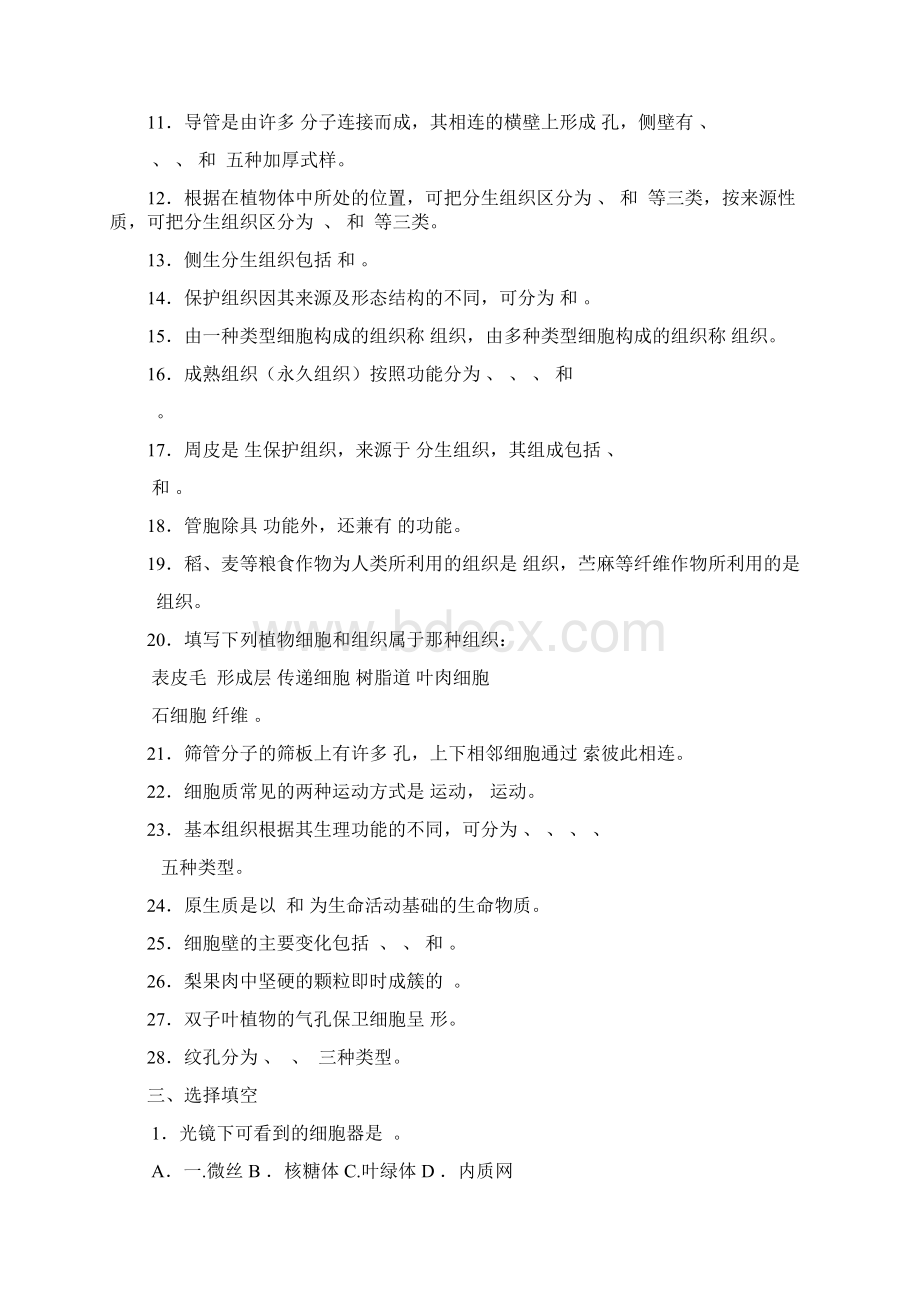 植物形态解剖学习题Word文档格式.docx_第2页