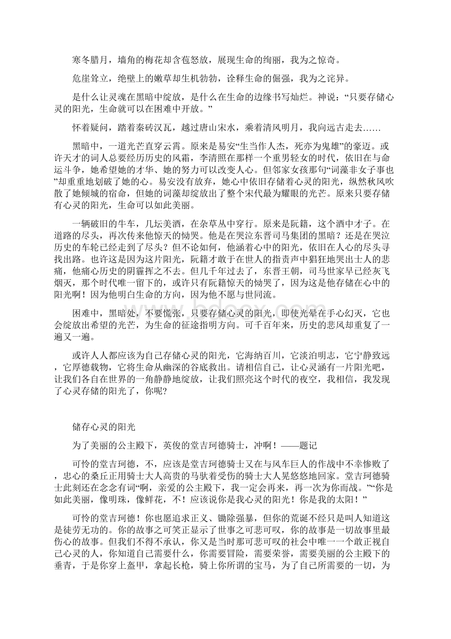 百强名校高考语文备考储存心灵的阳光作文示例Word文档下载推荐.docx_第2页