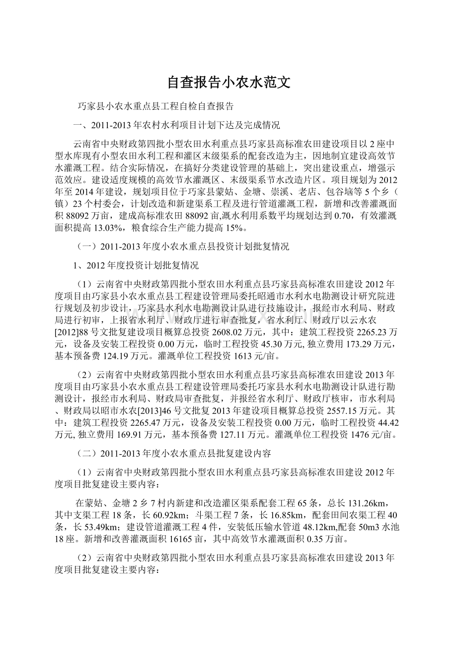 自查报告小农水范文Word格式.docx