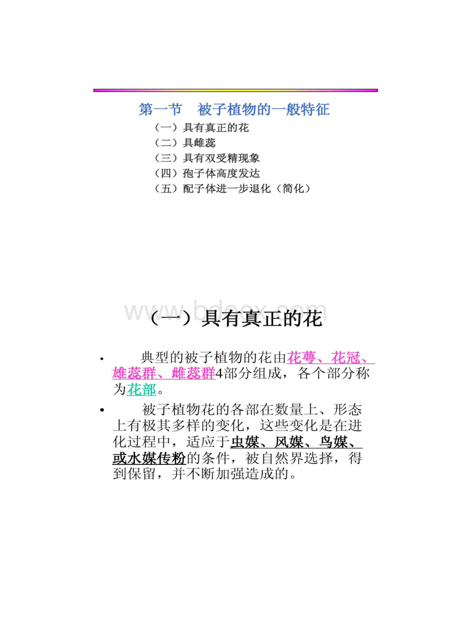 被子植物一般特征答辩Word格式文档下载.docx_第3页