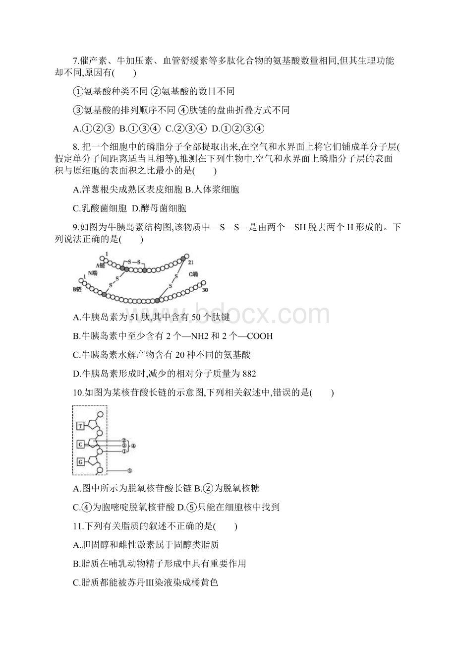 届福建省永安市第三中学高三月考生物试题Word文档格式.docx_第2页