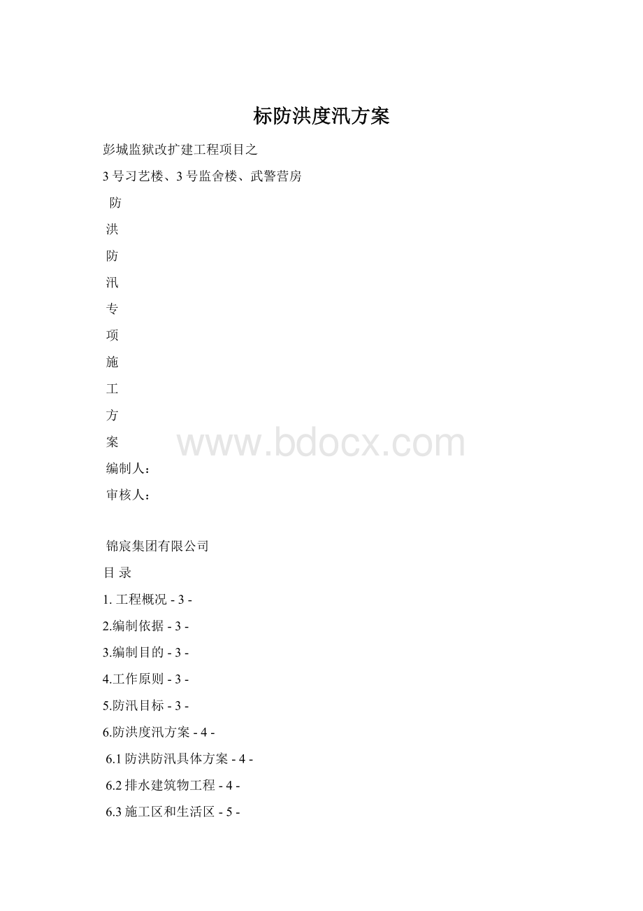 标防洪度汛方案.docx