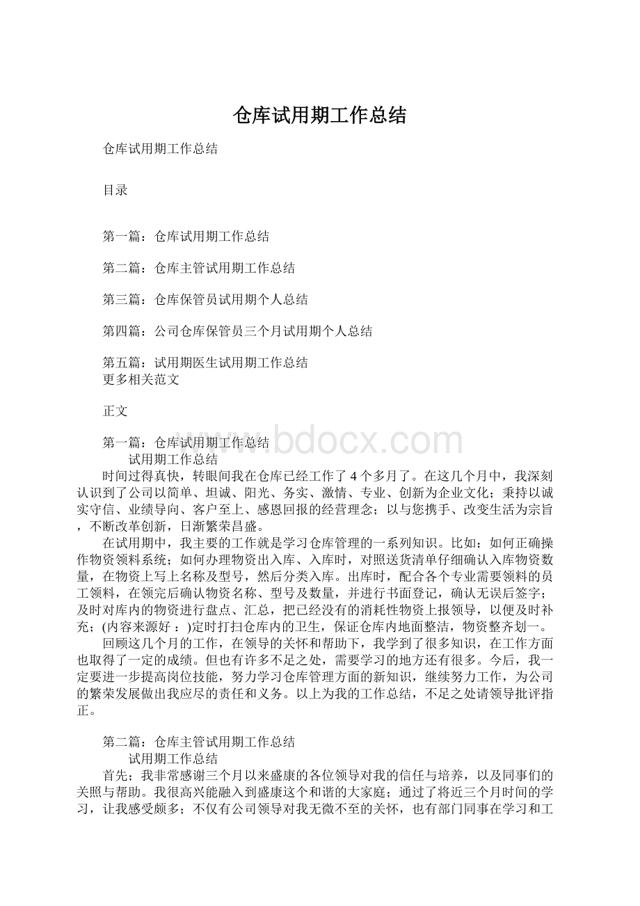 仓库试用期工作总结Word下载.docx