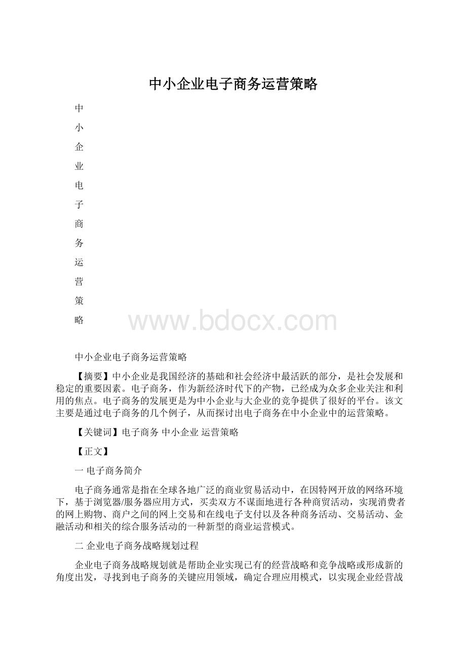 中小企业电子商务运营策略.docx_第1页