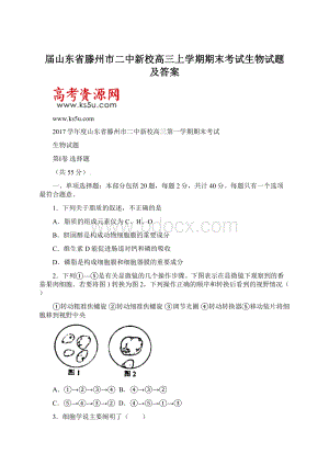 届山东省滕州市二中新校高三上学期期末考试生物试题 及答案Word下载.docx