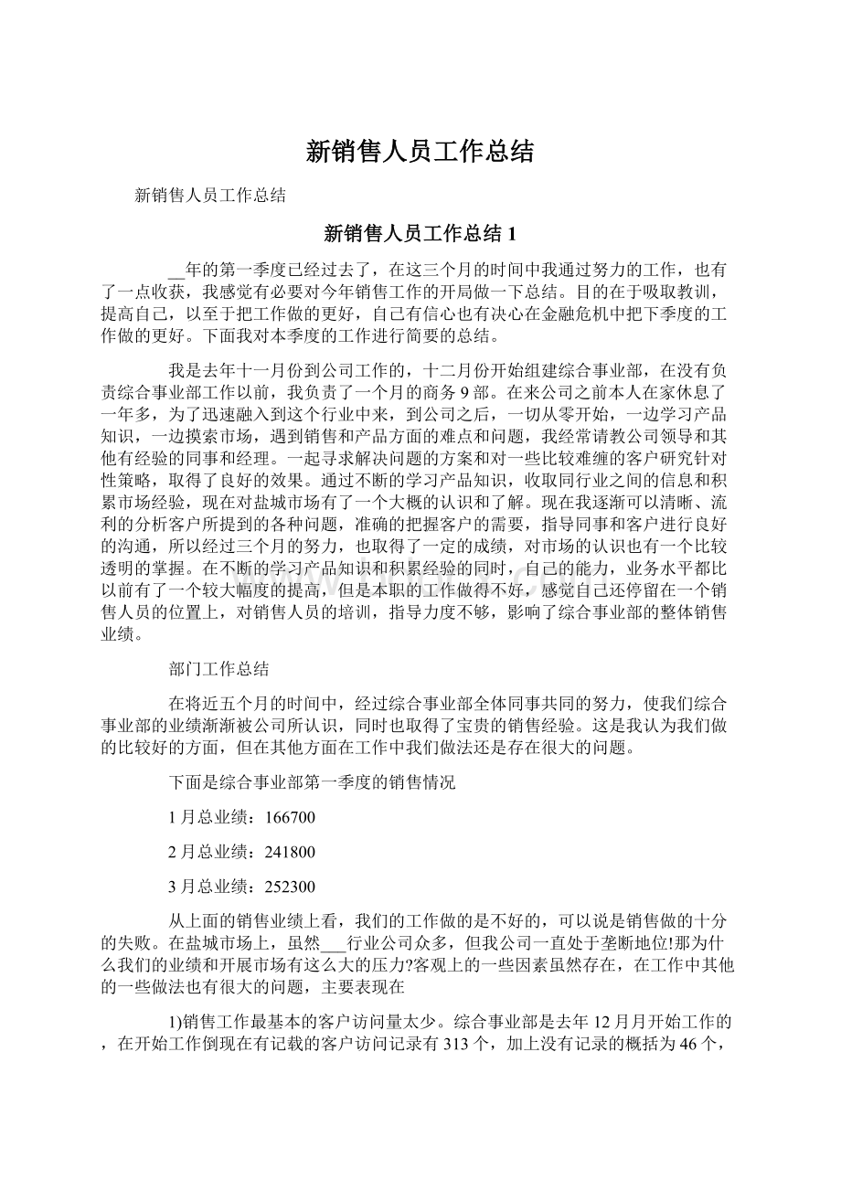 新销售人员工作总结Word文档格式.docx