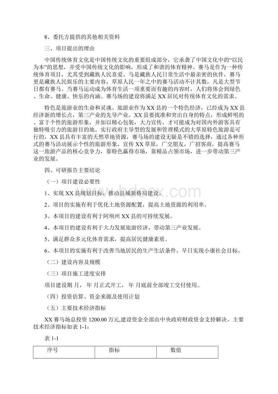 XX县新建赛马场项目可行性研究报告文档格式.docx_第2页