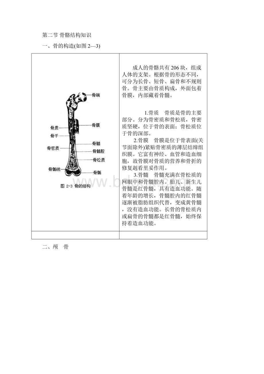 人体各部位名称及体表标志.docx_第3页