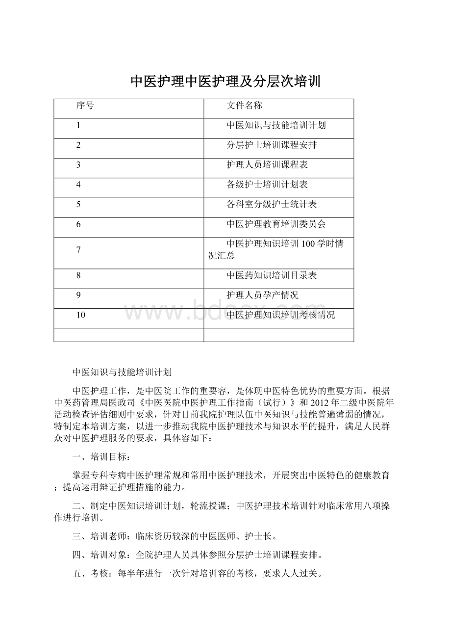 中医护理中医护理及分层次培训Word格式.docx_第1页