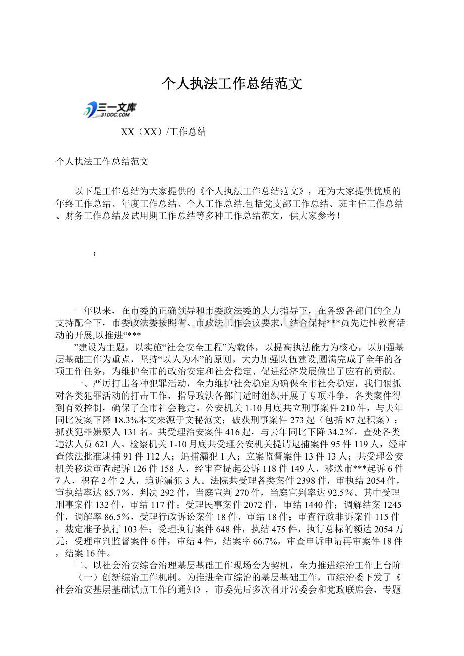 个人执法工作总结范文文档格式.docx