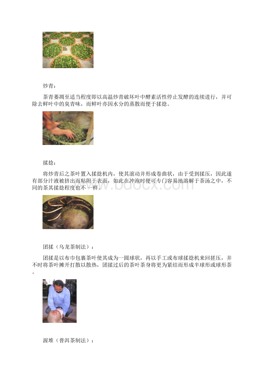 制茶工艺Word格式.docx_第3页