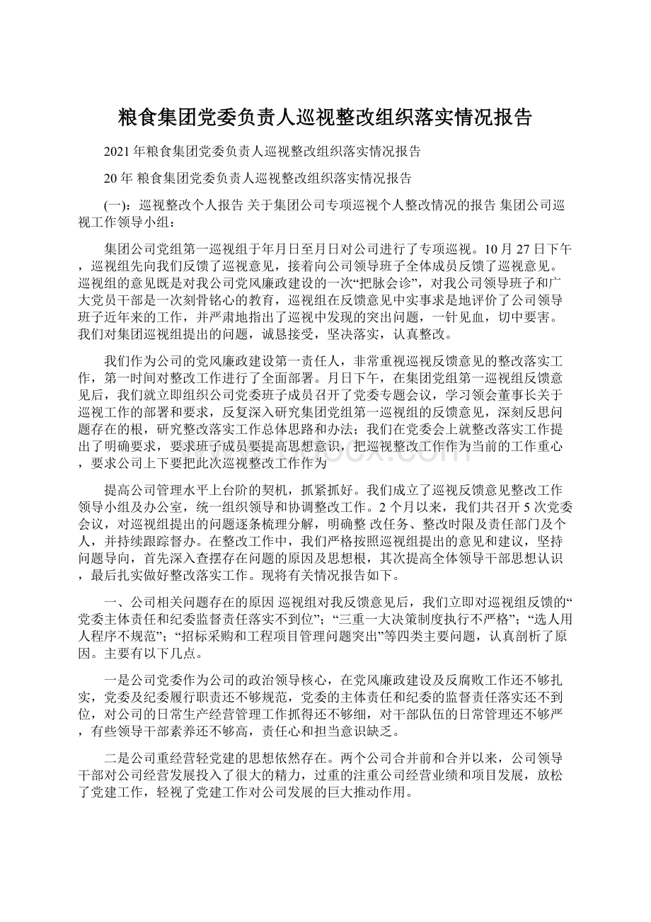 粮食集团党委负责人巡视整改组织落实情况报告文档格式.docx_第1页