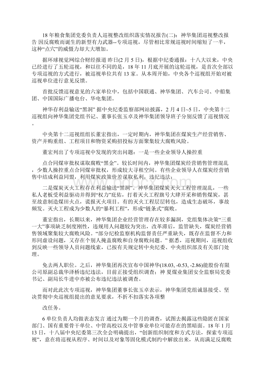 粮食集团党委负责人巡视整改组织落实情况报告文档格式.docx_第3页