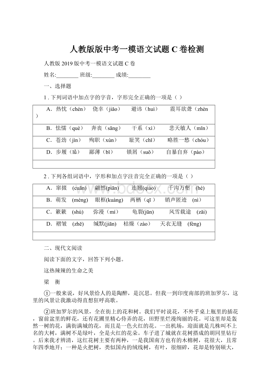 人教版版中考一模语文试题C卷检测Word格式文档下载.docx