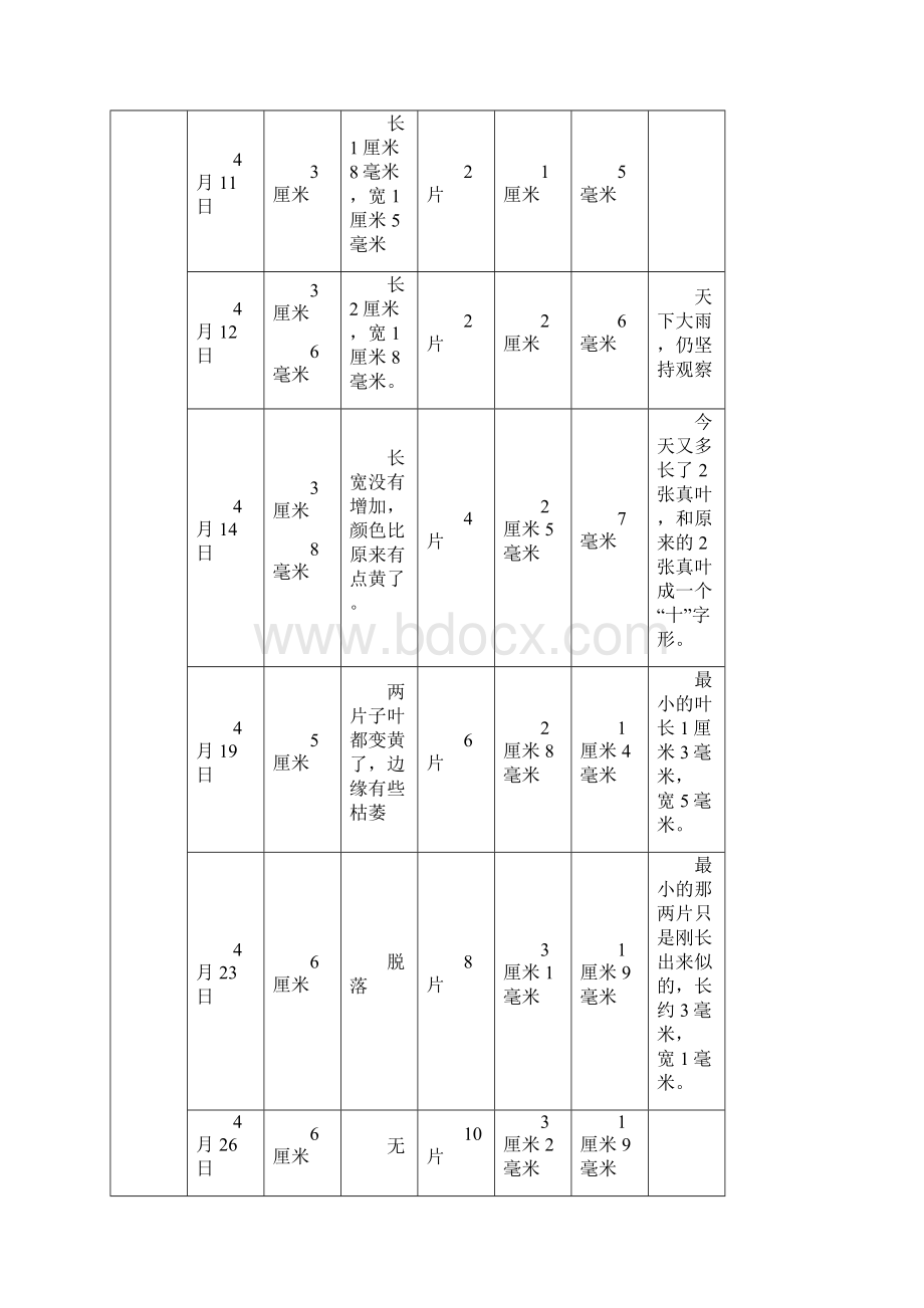 凤仙花的发芽与生长的观察记录表文档格式.docx_第2页